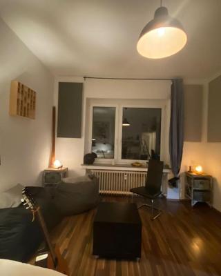 central and cozy 33q apartment