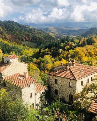 Bio Agriturismo Il Vigno