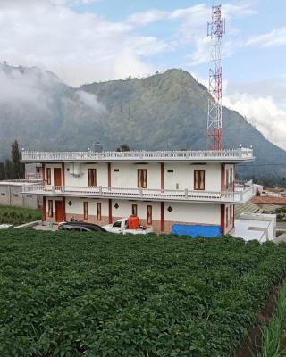 AAA, Astungkara, Amazing Bromo Villa, Managed by Triple A Tour, Additional Bromo Jeep Tour and Airport Shuttle