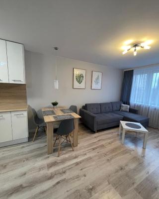 Mieszkanie w centrum z oddzielną sypialnią