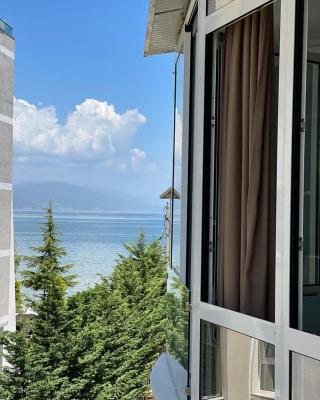 Mikpritja Pogradec, Tushemisht 1