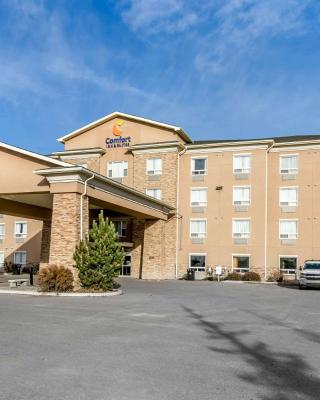 Comfort Inn & Suites