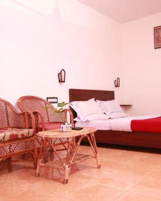 Rays Inn Thekkady