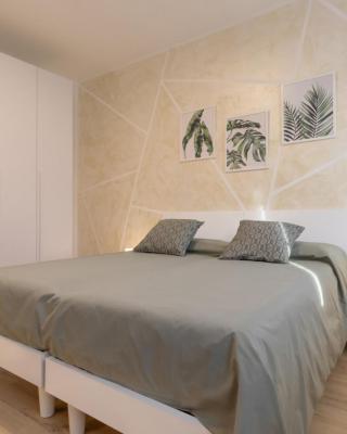 Domus Color