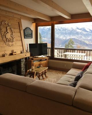 Vue Mont Blanc et toute la chaîne