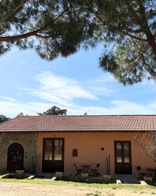 Agriturismo La Vergheria