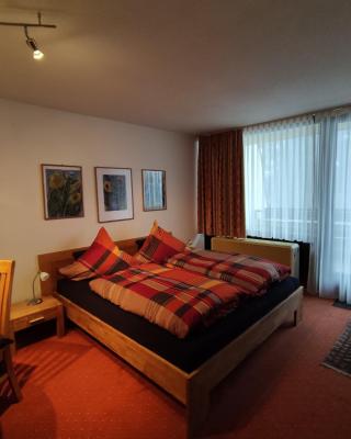 Ferienwohnung mit Schwimmbad und Gartenblick