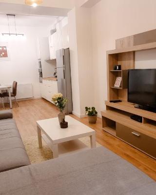 Apartament Calea Moldovei Residence - minibar si parcare GRATIS