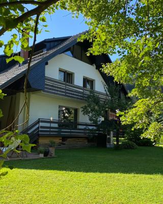 Apartment Židana marela - Attic with a View