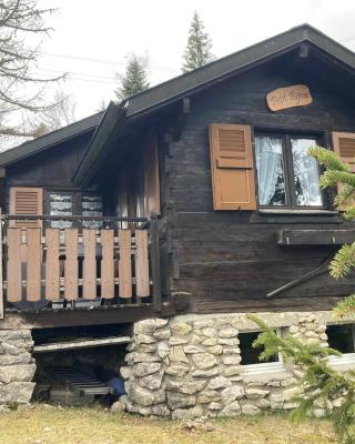 Entire cozy chalet in St-Cergue - 30 min from Geneva