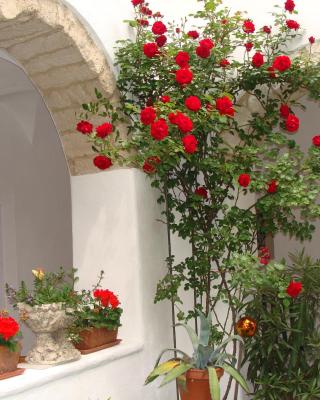 Gästehaus Hans Moser