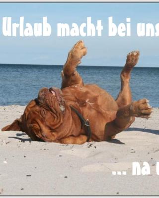 Bungalow WALD & SAND direkt am Strand