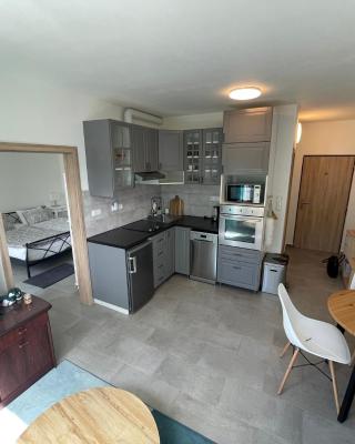 NOVÝ HORSKÝ APARTMÁN v Jizerských horách