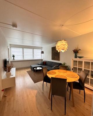 Privat one bedroom apartment in Odense N