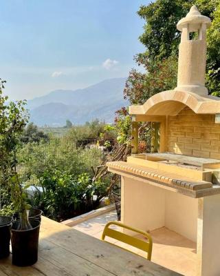 Crete Joy