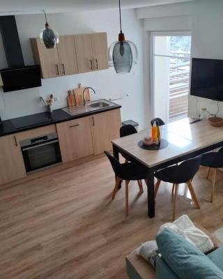 Appartement chaleureux au pied des pistes