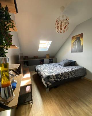 Chambre en duplex, entrée autonome, SDB privative