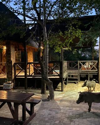 Kudu's Rus in Marloth Park