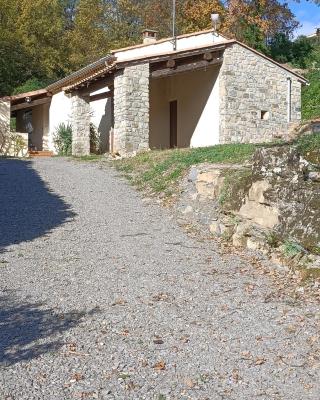 Gîte Au pied du grand cèdre