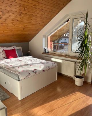 Podkrovní apartmán s balkónem