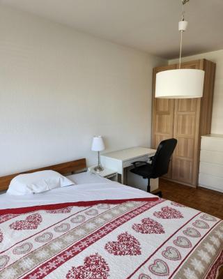 Room in Shared Apartment Geneva
