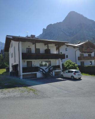 Alpenstern