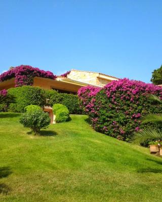 La Casa del Mirto