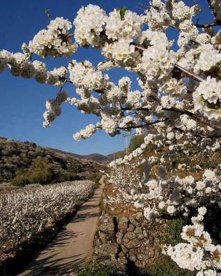 CASA RURAL ARBEQUINA, Primavera en el Valle del Ambroz