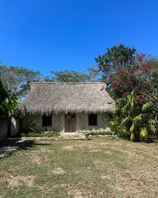 Hacienda Guesthouse with Private Cenote