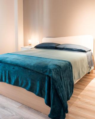 B&B viktoria city house