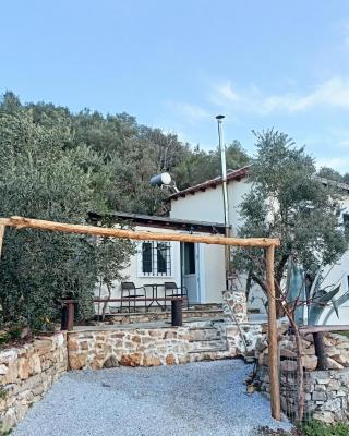 Ελαιώνας - Solar Energy House