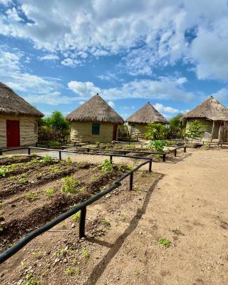 Maasai Eco Boma & Lodge - Experience Maasai Culture