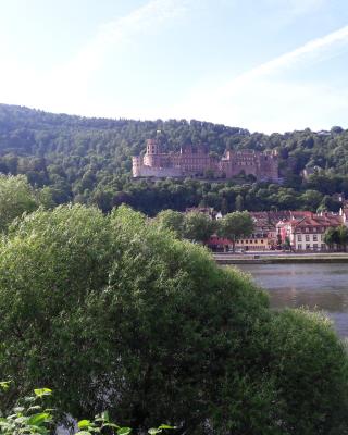 Ferienwohnung Neckarblick