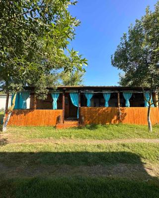 Oasis Blue Lozenets