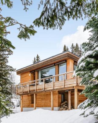 Grand Chalet Standing Avec Jacuzzi à Chamrousse ski 1750