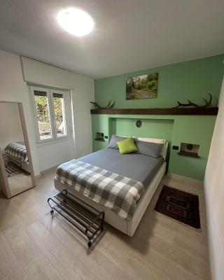B&B Civico 36