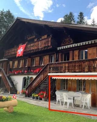 1 room apt, kitchen, patio, in beautiful chalet