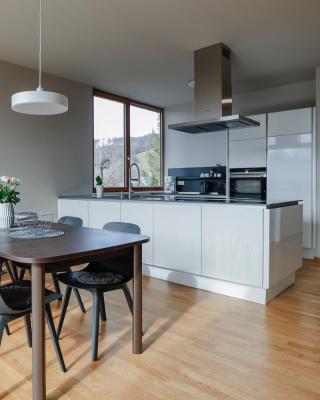 Fantastische Penthousewohnung mit 100 m2 klimatisiert