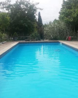 Logement avec piscine
