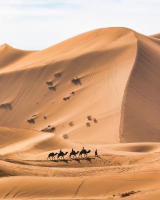 Your berber camp