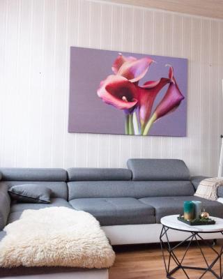 2 Zi.-Wohnung Stadtnah, Messenah