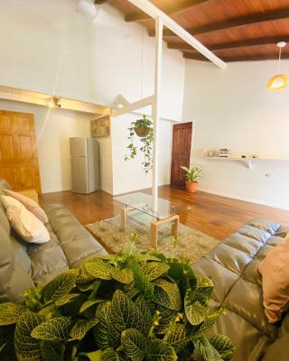 AmimodoBeachRooms