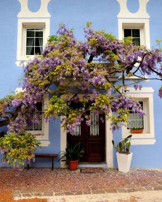 The Blue House