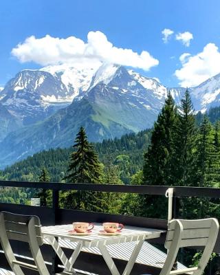 Appartement Saint Gervais les Bains piscine et vue imprenable Mont Blanc