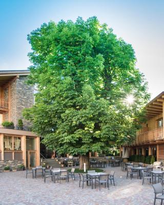 Hotel Gasthof Höllriegl