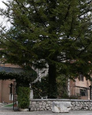 LH Albergo Il Picchio