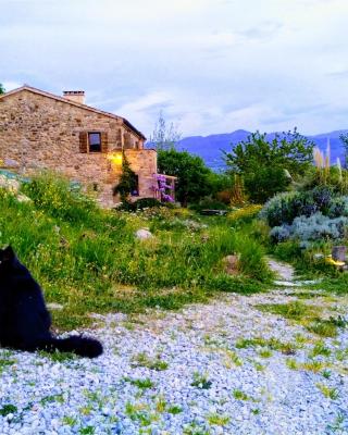 Sasso Erminia R&B Ecosostenibile