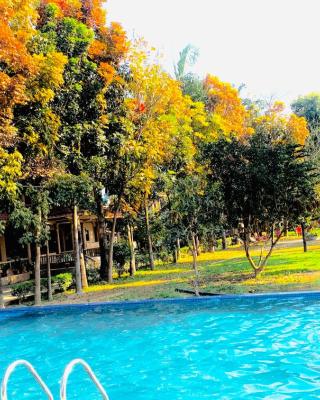 Chitwan Forest Resort , Chitwan National Park