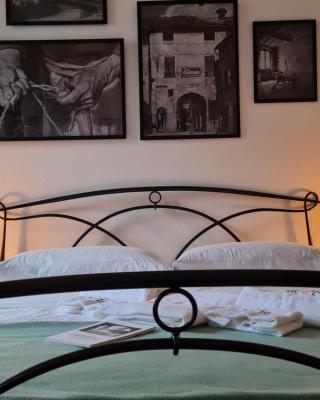 Casa delle rondini