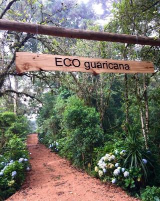 Bosque Contêiner Eco Guaricana